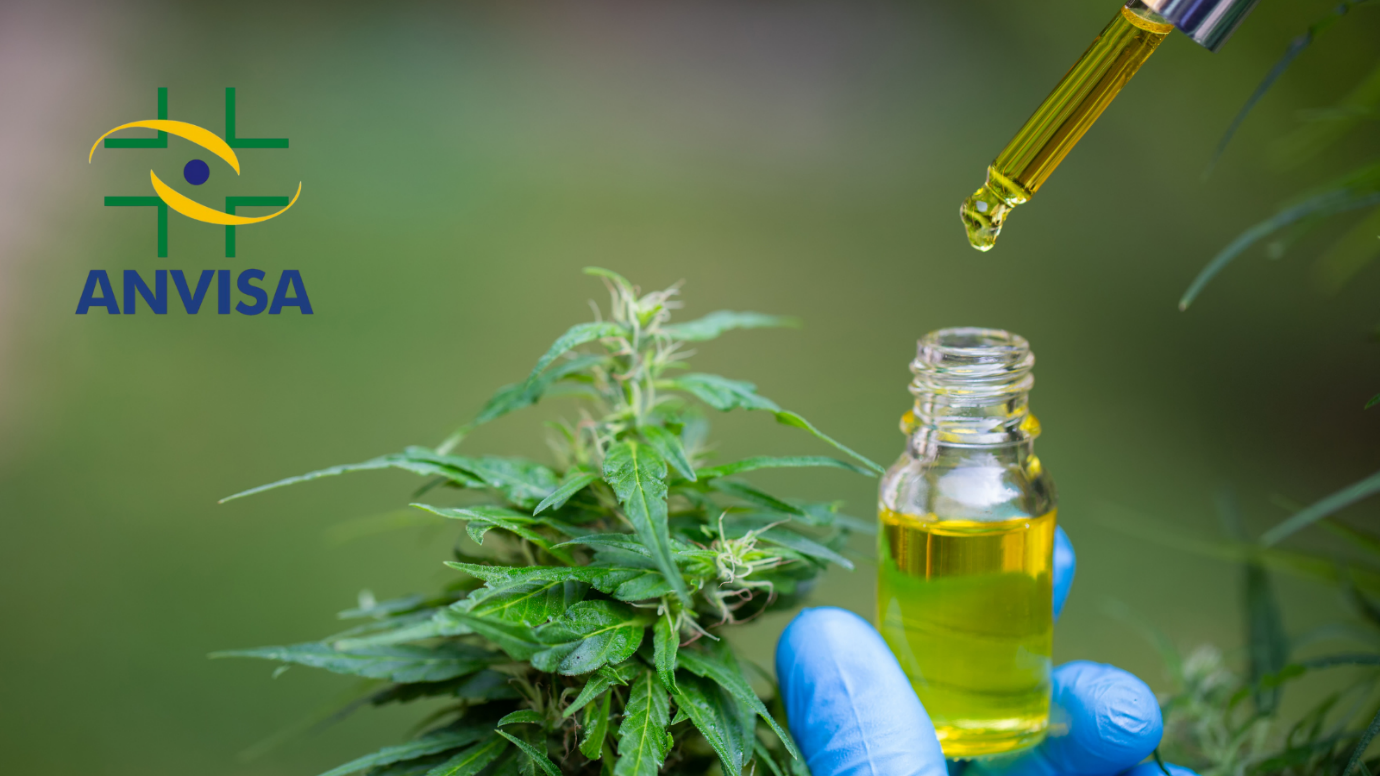 Anvisa aprova revisão de regra de importação de cannabis, mas adia decisão  sobre cultivo - Claudia Mano - Advocacia